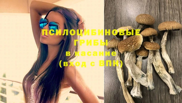 бутират Покров